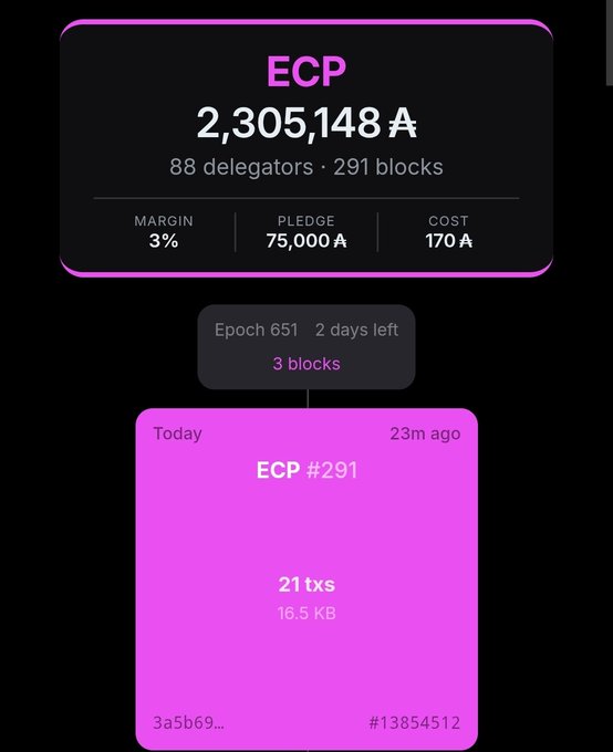 The image displays a Cardano stake pool dashboard for "ECP" showing a stake of 2,305,148 ₳ from 88 delegators with 291 blocks minted at a 3% margin, and highlights the recent block ECP #291 (21 txs, 16.5 KB) produced 23 minutes ago during Epoch 651. This visually reinforces the post's celebration of minting a block and serves as a pitch for delegators to stake with ECP.