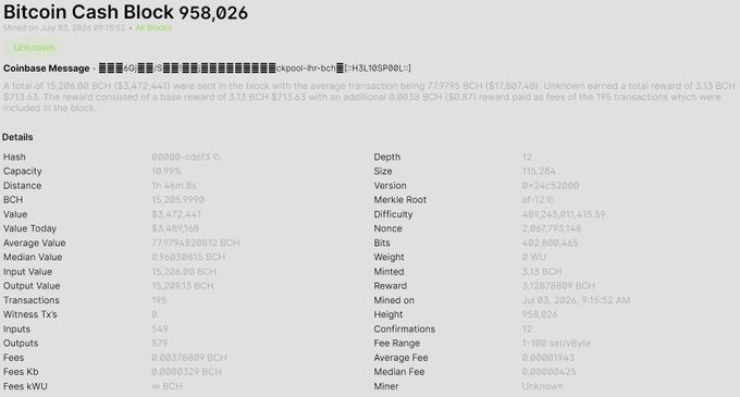 A screenshot detailing Bitcoin Cash Block 958,026 mined on July 3, 2025, displaying key statistics including a 3.13 BCH reward, 195 transactions, and a hash rate contributing to HeliosPool's 14th BCH block solve via a NerdQAxe++ miner.
