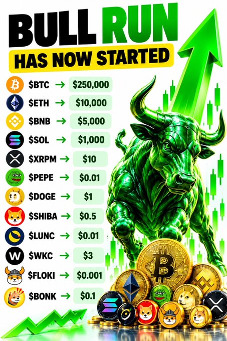 A promotional graphic declaring 'BULL RUN HAS NOW STARTED' featuring a green bull, an upward arrow, and a list of cryptocurrencies including $BTC ($250,000), $ETH ($10,000), $BNB ($5,000), $SOL ($1,000), $XRPM ($10), $PEPE ($0.01), $DOGE ($1), $SHIBA ($0.5), $LUNC ($0.01), $WKC ($3), $FLOKI ($0.001), and $BONK ($0.1).