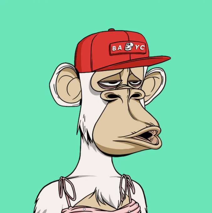 The image features a cartoon depiction of a white monkey wearing a red baseball cap with "BAYC" written on it, as well as a pink dress. The monkey appears to be looking off into the distance or daydreaming while standing against a green background. The caption at the bottom of the image reads: "If you'r a Chinese-speaking monkey. But I didn't follow you, that'S my problem. Please leave a message for me to follow Are you a monkey? bored ape yacht club".