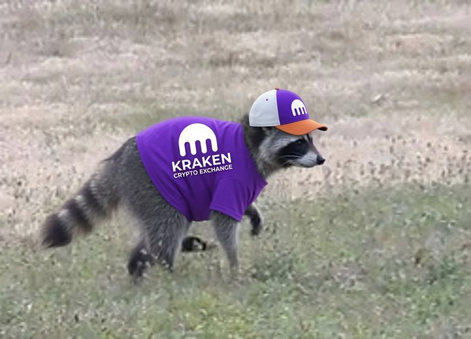 A raccoon wears a purple "KRAKEN CRYPTO EXCHANGE" shirt and matching hat, humorously doubling as a "Jimothy" mascot to suggest Kraken list this tongue-in-cheek crypto ticker.