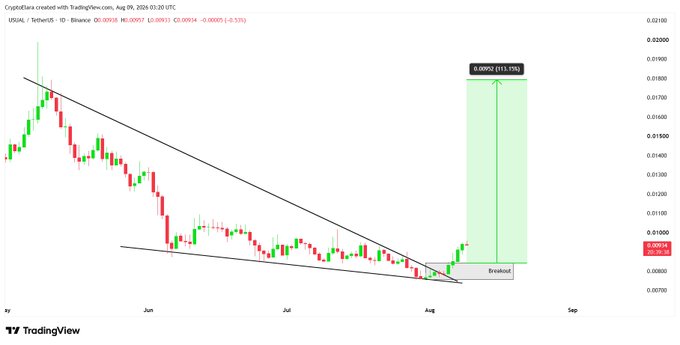 A daily TradingView candlestick chart of USUAL/USDT on Binance shows the price breaking out of a descending wedge pattern at $0.00934 on August 9, 2024, with a projected target of +113% (~$0.188) highlighted in green.