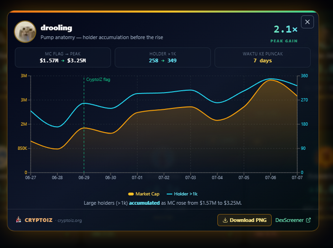 A Cryptoiz dashboard showing 'drooling' token with a Pump anatomy — holder accumulation flag, MC rising from $1.57M to $3.25M, holders increasing from 258 to 349, and a 2.1x peak gain.