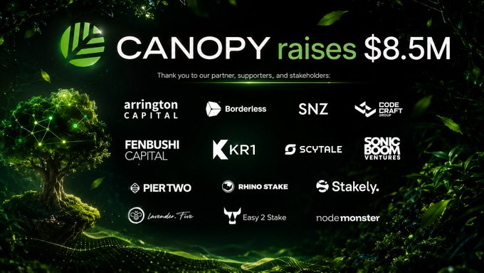 A promotional graphic with a dark green nature-themed background featuring a glowing tree announces that **"CANOPY raises $8.5M,"** displaying logos of partner investors and supporters including Arrington Capital, Borderless, SNZ, Code Craft, Fenbushi Capital, KR1, Scytale, Sonic Boom Ventures, Piertwo, Rhinostake, Stakely, Lavender Five, Easy 2 Stake, and Node Monster. The image visually celebrates Canopy's (CNPY) funding milestone referenced in the post, emphasizing the strong backing from major crypto venture investors that supports the project's mission of simplifying blockchain infrastructure for developers.