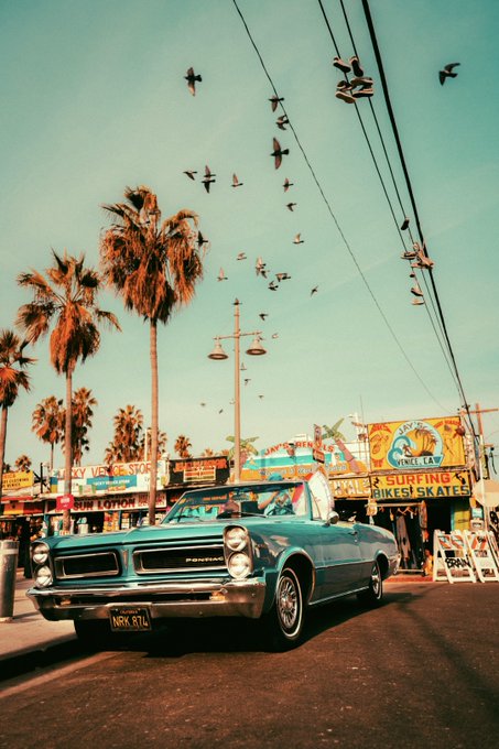 A vintage teal Pontiac is parked on a sunny street lined with palm trees and shops advertising 'SKATEBOARD SURFING BIKES SKATES' and 'SHUFFLE BOARD', while a flock of birds flies overhead against a teal sky.