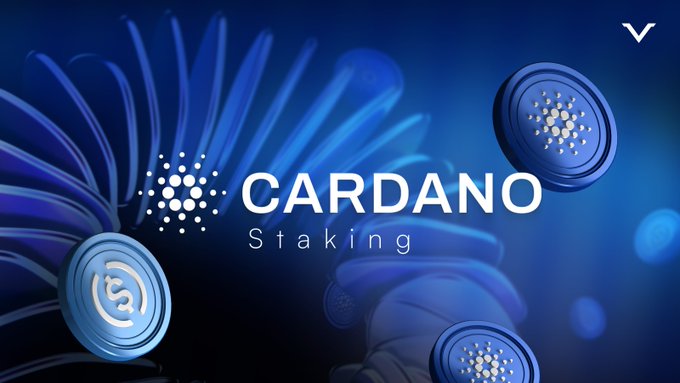 The image displays a promotional graphic for Cardano (ADA) staking, featuring the text "CARDANO Staking" alongside blue-themed coin illustrations and the Cardano logo. It visually supports the post's message about staking ADA directly from one's wallet by emphasizing the staking concept through its branding.