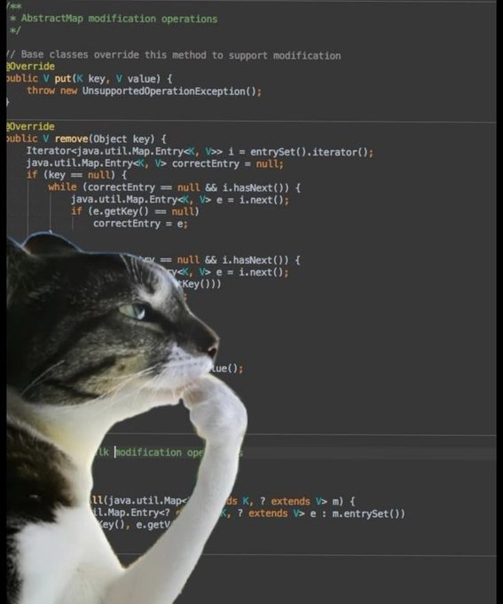 A humorous composite image showing a tabby cat with a white paw raised, overlaid on code displaying 'AbstractMap modification operations' in Java, referencing the typical 'cat on keyboard' internet meme.