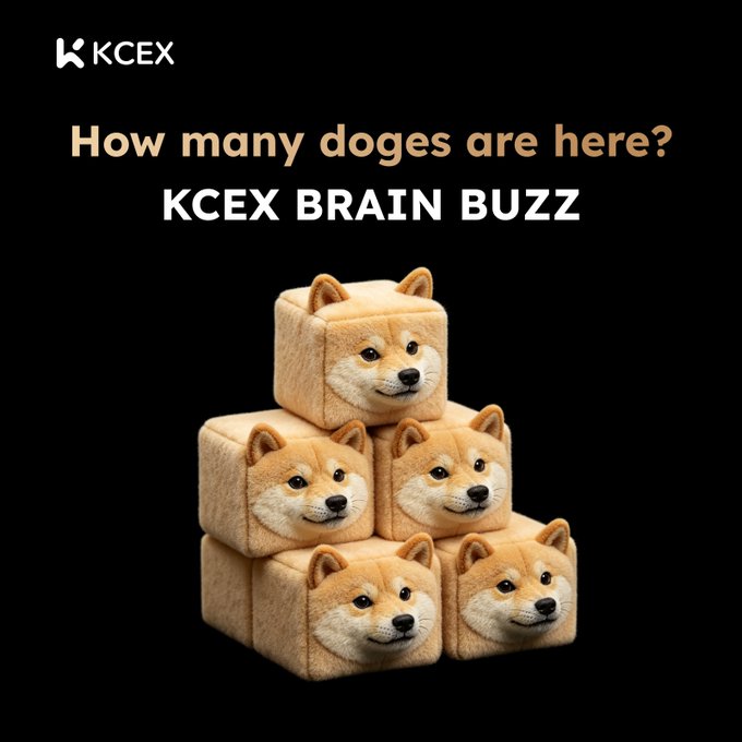 The image features a stack of five dog-shaped blocks, each with a face made from a beige material resembling a dog's head. The text "How many Doges are here? Test your eyes #KCEX Brain Buzz!" is written above the blocks, and it appears to be part of a brain buzz or brain training game that challenges users' cognitive abilities while they try to identify the number of dogs in the image.
