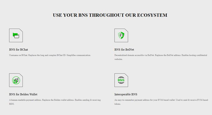 An informational slide titled 'USE YOUR BNS THROUGHOUT OUR ECOSYSTEM' describing BNS for BChat, BelNet, Beldex Wallet, and Interoperable BNS.
