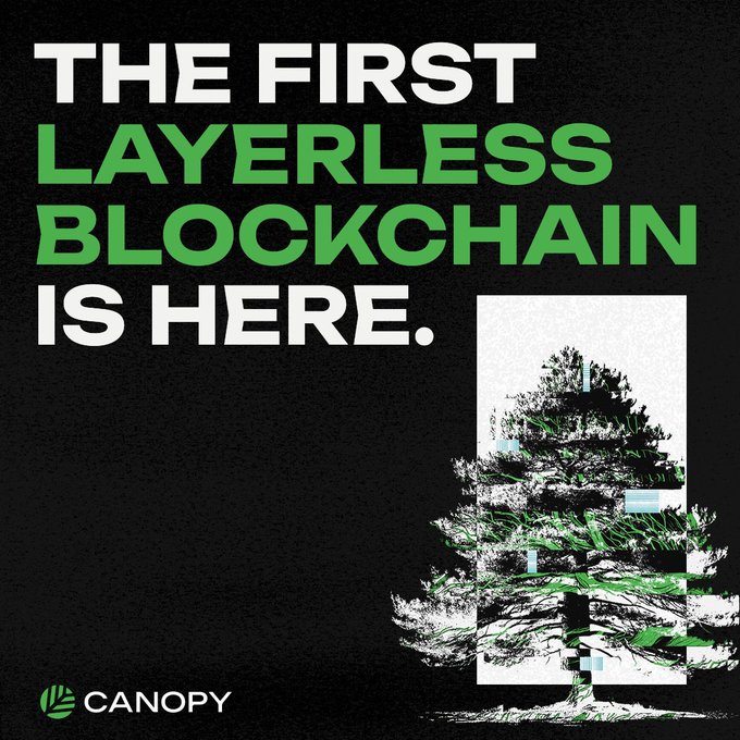 A promotional graphic for Canopy featuring a stylized, pixelated pine tree on a black background with the bold text "THE FIRST LAYERLESS BLOCKCHAIN IS HERE." in white and green, highlighting the company that just secured $8.5M in funding from Arrington Capital and Borderless Capital to develop their AI-powered platform for launching layer-one blockchains.
