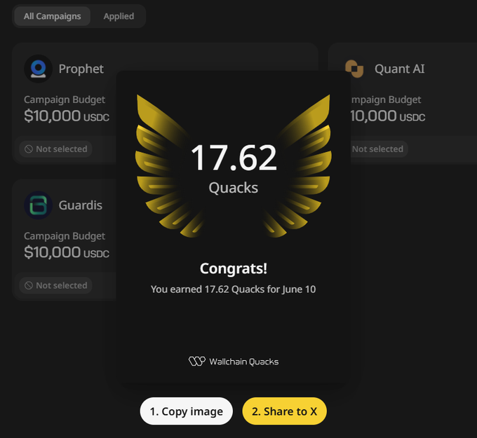 The image shows a screenshot of a campaign dashboard displaying a scorecard. The scorecard indicates that someone has successfully completed a campaign worth 17.62 Quacks. The dashboard also features other options, such as "Copy image", which allows users to copy an existing image for their own content or share it with others. Additionally, there is a button labeled "2", likely for sharing the screenshot on social media platforms or using it as part of a larger presentation.