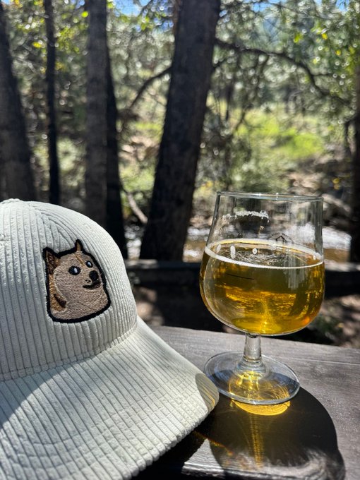 A light-colored baseball cap featuring an embroidered dog patch sits on a wooden table next to a glass of golden liquid, with a sunlit forest visible in the background.