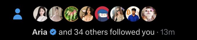 A social media notification bar showing 'Aria and 34 others followed you • 13m' with several circular profile pictures of users.