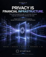 A digital advertisement with the text 'PRIVACY IS FINANCIAL INFRASTRUCTURE' and 'STARTALE', featuring a glowing lock graphic over a financial chart background.