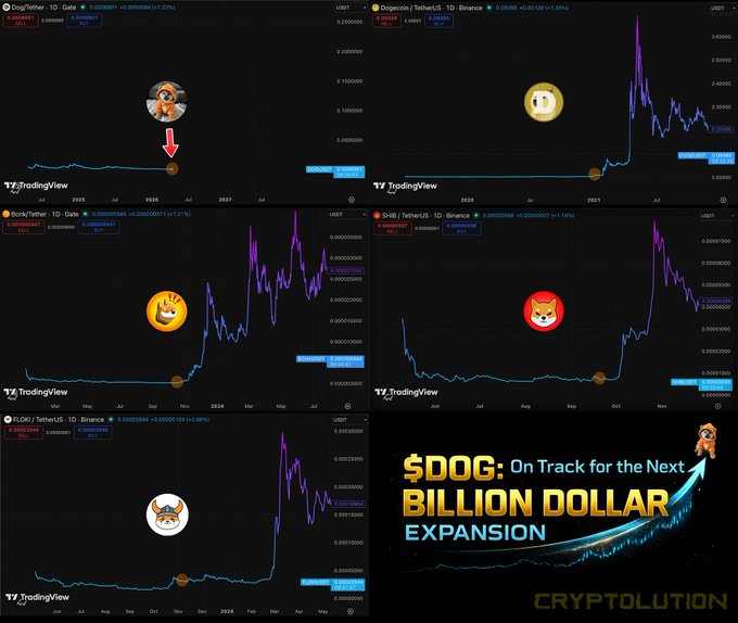 A collage of TradingView cryptocurrency charts comparing the price history of Dogecoin (DOG/Tether, DOGE/USDT) against several other meme coins including Dogecoin on TetherUS, Shiba Inu (SHIB/TetherUS), and FLOKI/TetherUS, with text reading '$DOG: On Track for the Next BILLION DOLLAR EXPANSION' by CRYPTOLUTION.