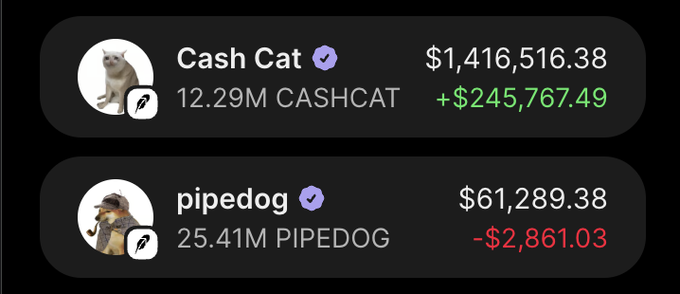 A portfolio screenshot showing two meme coin holdings: Cash Cat (12.29M CASHCAT) valued at $1,416,516.38 with a gain of +$245,767.49, and pipedog (25.41M PIPEDOG) valued at $61,289.38 with a loss of -$2,861.03.