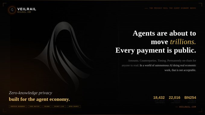 Promotional website for "VEILRAIL" featuring a dark hooded figure with text "Agents are about to move trillions. Every payment is public" and "Zero-knowledge privacy built for the agent economy."