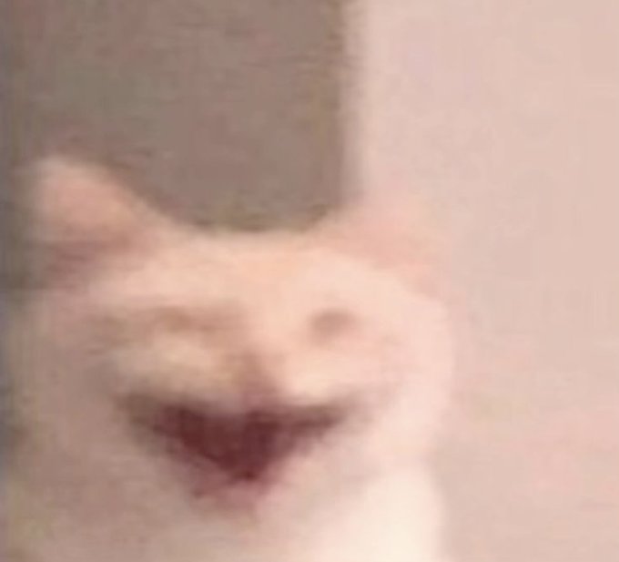 A blurry close-up of a smiling cat with an open mouth, humorously paired with the caption "classic crypto relative strength" — the image serves as a playful, nonsensical meme reaction, with the cat's gleeful expression used to mock or celebrate the unpredictable nature of crypto market performance relative to other assets.