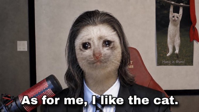 Meme image showing a person in a suit with a crying cat's face edited over their own face, sitting before a microphone, with the caption 'As for me, I like the cat.' and a cat poster on the wall reading 'Hang in there!'.