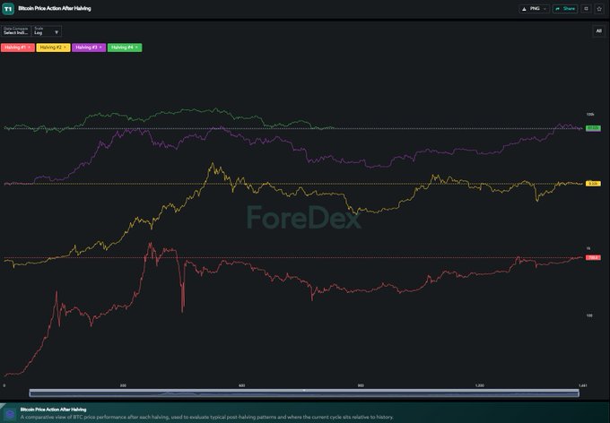 A screenshot of a financial chart titled 'Bitcoin-Price Action After Halving' from ForeDex, showing multiple halving cycles (2012, 2016, 2020, 2024) plotted in different colors against an index axis.