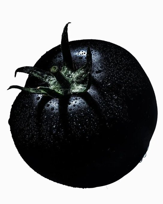 A close-up photograph of a dark, ripe tomato with water droplets on its skin against a white background.