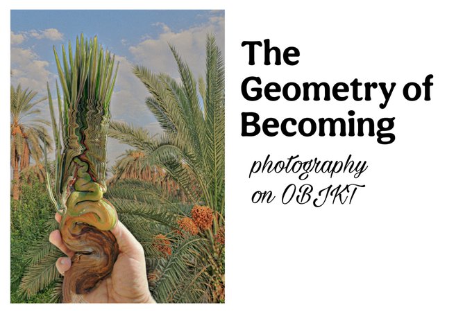 A promotional graphic titled 'The Geometry of Becoming' with 'photography on OBJKT' below it, showing a hand holding a melting plant sculpture against a tropical background.