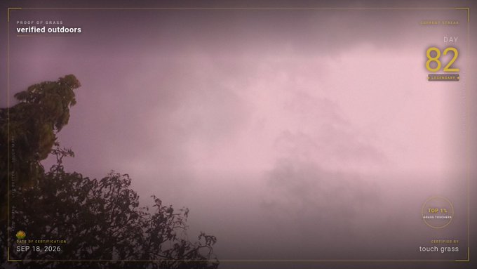 A foggy, desaturated outdoor scene labeled 'verified outdoors' with 'DAY 82 SOPHISTY CAP' and 'touch grass' displayed on the right.