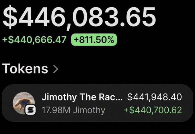A cryptocurrency portfolio screen showing a balance of $446,083.65 with gains of +$440,666.47 (+811.50%), and a token listed as 'Jimothy The Rac...' worth $441,948.40 with 17.98M Jimothy holdings.