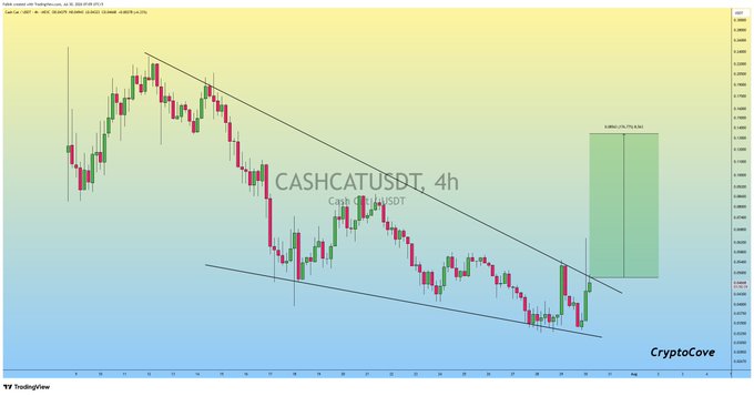 A 4-hour candlestick chart of CASHCAT/USDT shows a descending wedge pattern with the price breaking out to the upside, projecting a potential 11.77% gain based on the highlighted green target zone. The chart, branded "CryptoCove" and sourced from TradingView, visually supports the post's call to "keep an eye on $CASHCAT" as it suggests a bullish breakout setup.