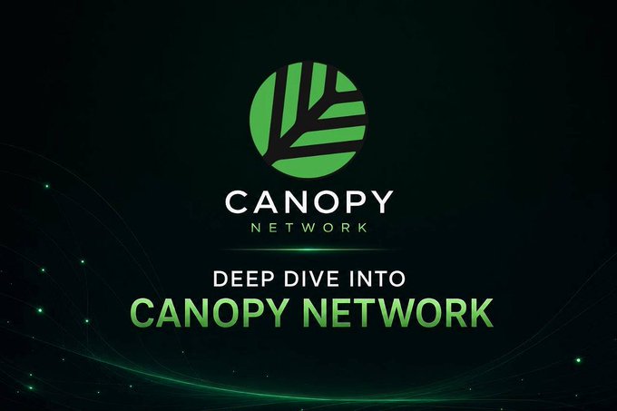The image features a promotional graphic for Canopy Network, displaying its green leaf-shaped logo and the text "DEEP DIVE INTO CANOPY NETWORK" against a dark background with subtle particle effects. This aligns with the post's mention of @CNPYNetwork, as the image appears to introduce or highlight the project being discussed.