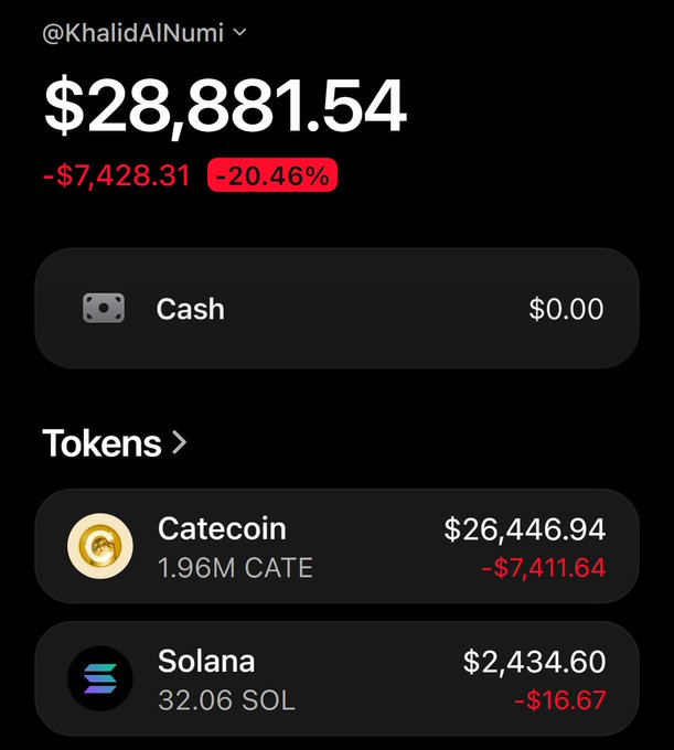 A screenshot of the @KhalidAlNumi crypto wallet showing a portfolio valued at $28,881.54, down $7,428.31 (-20.46%), with holdings of 1.96M Catecoin worth $26,446.94 (down $7,411.64) and 32.06 SOL worth $2,434.60. The image visually supports the post's claim of profiting over $26,447 from $CATE, which forms nearly the entire portfolio and is the basis for the giveaway announcement.