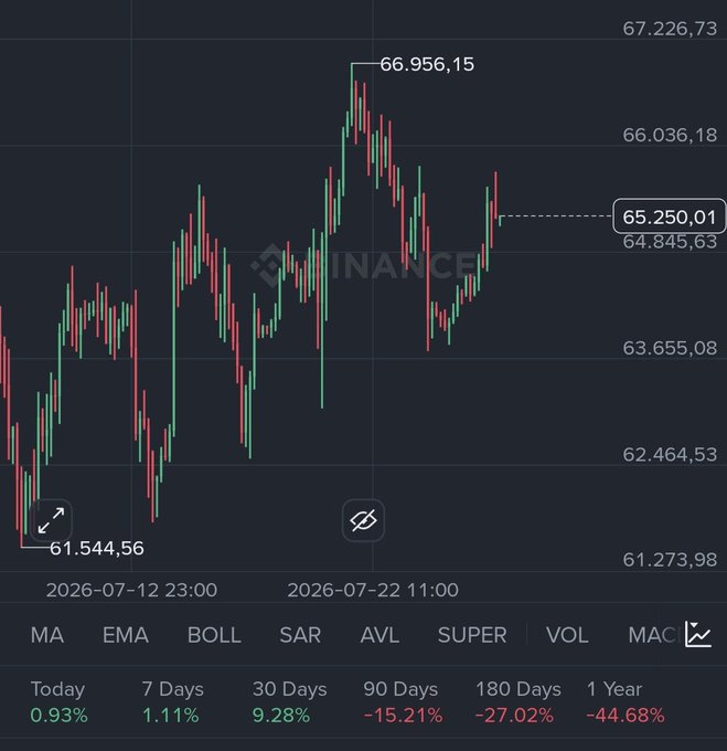 A financial candlestick chart (likely Binance) showing price action with a high of 66,956.15 and a current price of 65,250.01, displaying losses across longer timeframes (90 Days: -15.21%, 180 Days: -27.02%, 1 Year: -44.68%).