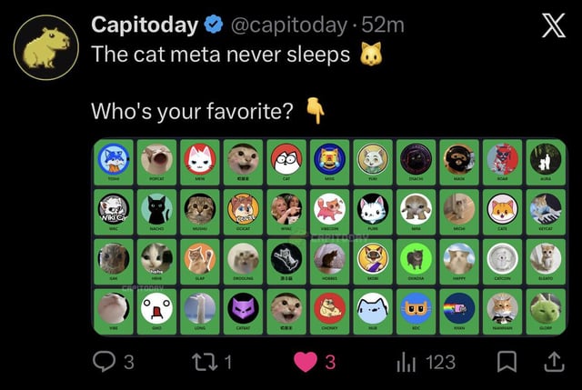 A screenshot of a tweet by Capitoday (@capitoday) reading "The cat meta never sleeps 🐱 Who's your favorite? 👇" above a grid of approximately 40 cat-themed cryptocurrency token logos with names like POPCAT, MICHI, and MANEKI, relating to the question "Cat coins?"