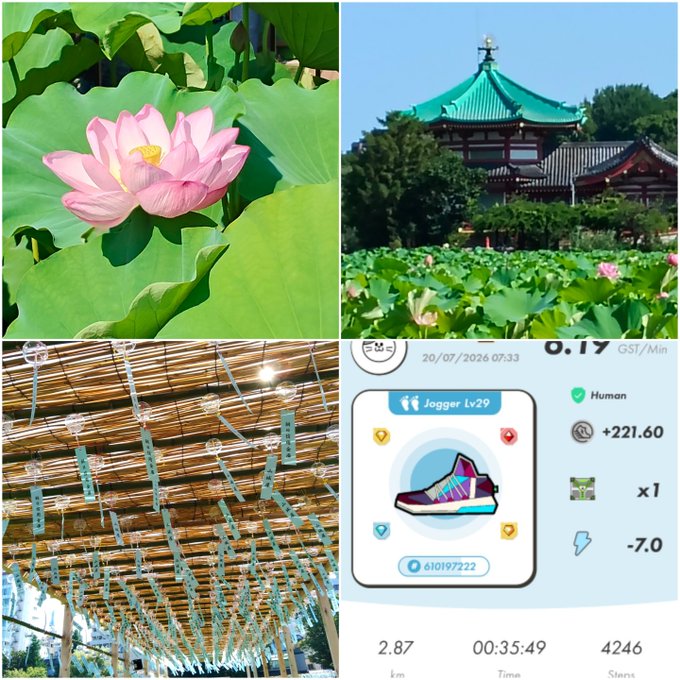 A collage showing pink lotus flowers blooming at Ueno, a traditional temple amid lotus ponds, wind chimes (furin) hanging from bamboo, and a STEPN app screenshot displaying a Jogger Lv29 sneaker with stats: 2.87 km, 00:35:49, 4246 Steps, and 0.17 GST/Min. The images capture a peaceful morning lotus-viewing outing at Ueno paired with the user's daily STEPN walking routine.