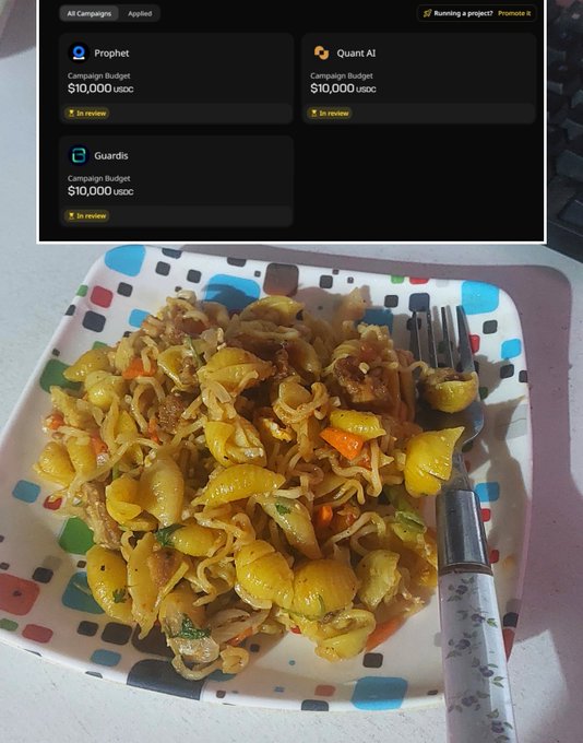 The image shows a plate of food with noodles and vegetables such as carrots and broccoli. A fork is placed next to the plate. The background includes a computer screen displaying information about an ongoing campaign, possibly related to a Kickstarter project or another type of online fundraising initiative.