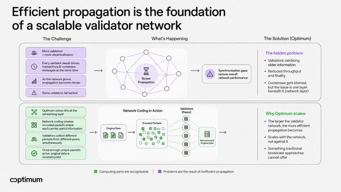 An infographic titled 'Efficient propagation is the foundation of a scalable validator network' by Optimus, explaining network coding solutions for validator synchronization challenges.