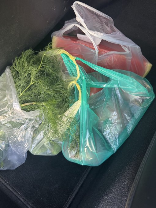 Plastic grocery bags containing fresh dill and tomatoes rest on a dark fabric surface.
