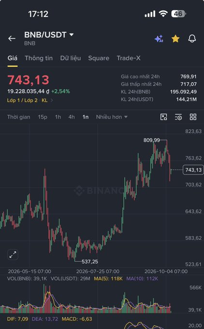 A Binance mobile app screenshot showing the BNB/USDT trading pair at a price of 743,13, up 2.54%, with a candlestick chart.