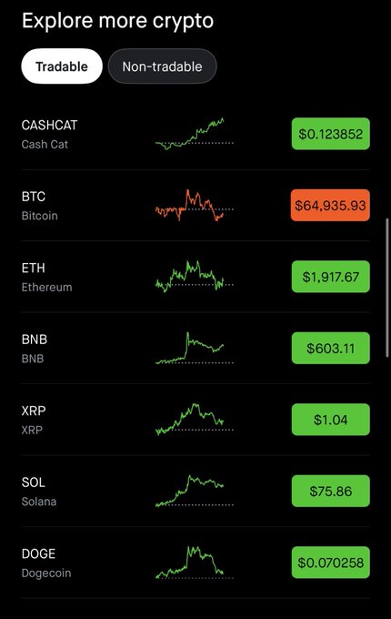 A cryptocurrency app screen titled 'Explore more crypto' showing tradable coins including CASHCAT ($0.123852), BTC/Bitcoin ($64,935.93 in red), ETH/Ethereum ($1,917.67), BNB ($603.11), XRP ($1.04), SOL/Solana ($75.86), and DOGE/Dogecoin ($0.070258), each with mini price charts.