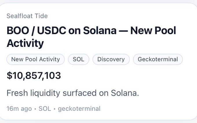 The image shows a close-up of a screen displaying text information related to BOO/USDC on Solana and its new pool activity. The text includes details about the coin's early discovery flow, with over $10.8M having already entered at the start of the pools' formation. The post also mentions that this is an early stage in a newly active market where liquidity has gathered around the solana pool. The text is organized and clearly visible, giving a comprehensive understanding of the current state of the BOO/USDC on Solana new pool activity.