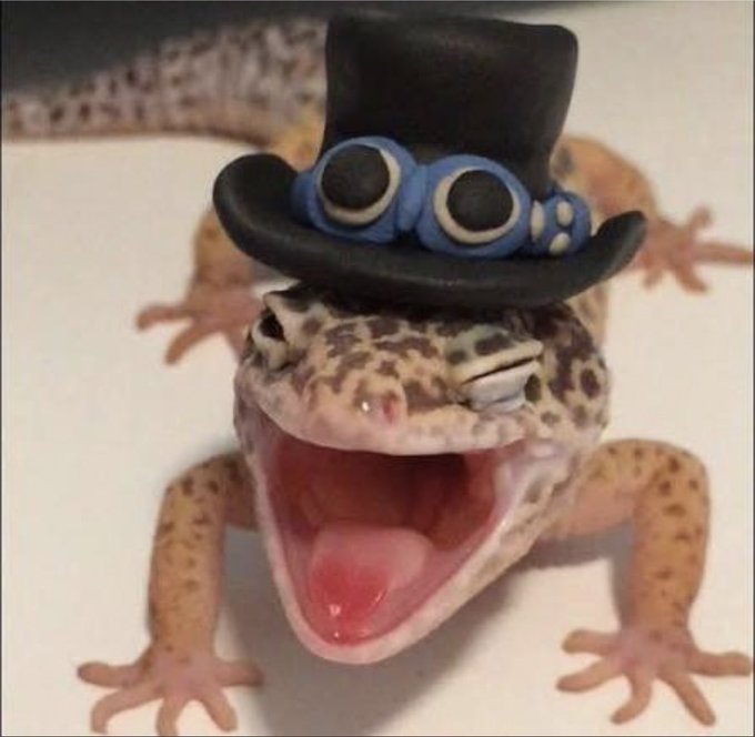A leopard gecko with its mouth wide open wears a tiny black top hat decorated with blue owl-like eyes.