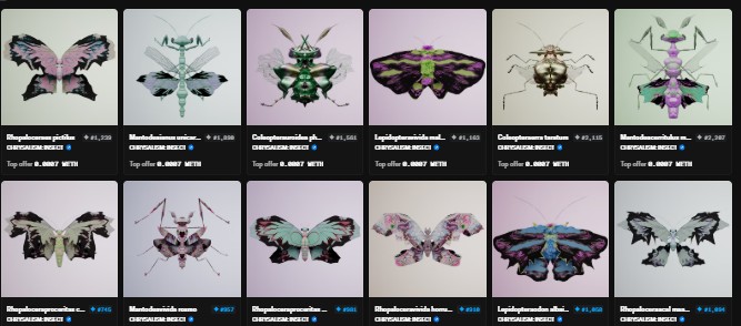 A grid of twelve surreal digital insect specimens from the Chrysalism NFT collection, each labeled with insect species names like "Elaphrus purpuratus" and biological reference numbers, blending entomology with fantasy artwork to visually embody the "coming back to life" theme referenced in the post.