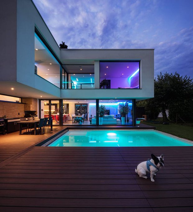 A modern luxury home with a glowing turquoise pool and a small French Bulldog sitting on the wooden deck at twilight, illuminated by purple and blue interior lighting. The image doesn't relate to the post about BeldexCoin participation, as it shows a residential scene rather than any cryptocurrency content.