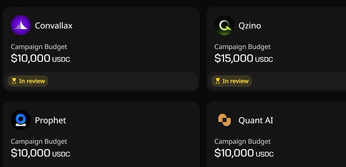 The image shows four pending campaign applications on what appears to be Wallchain—Convallax ($10,000 USDC), Qzino ($15,000 USDC), Prophet ($10,000 USDC), and Quant AI ($10,000 USDC)—all marked as "In review," illustrating that approvals have not yet been granted.