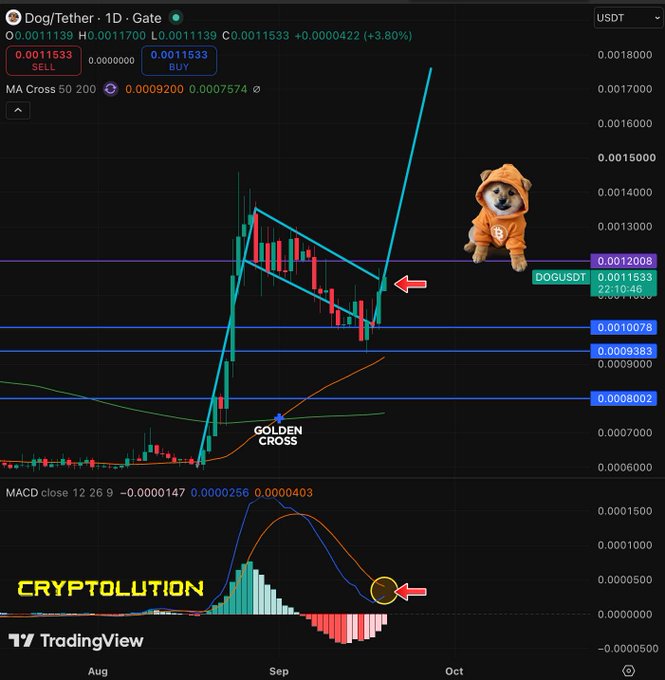 A TradingView cryptocurrency chart for Dog/Tether (DOGUSDT) on Gate exchange, showing candlestick patterns, a golden cross indicator, and annotations including a doge character in an orange hoodie and arrows pointing to key price levels.