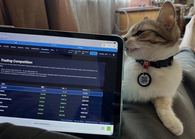 In this image, there's a cat sitting near an open laptop computer placed on top of someone's lap. The cat appears to be staring intently at the screen as if captivated by something on the laptop. A caption from another post is visible in the image, which reads "GM everyone @variationalio is still my biggest bet of the year. Points on OTC are trading around $21, while Variational's expected FDV on Aspecta and @Polymarket sits in the $700-800M range. Today's weekly points distribution just dropped."