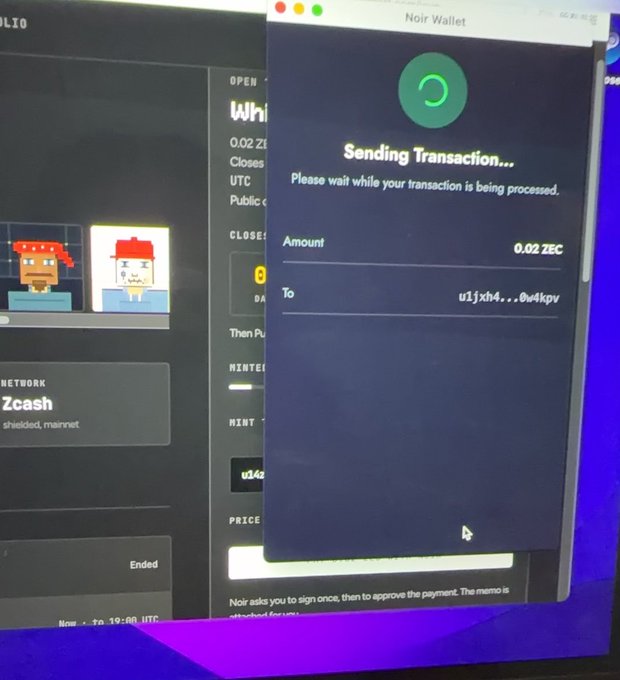A Noir wallet window shows a Zcash (ZEC) transaction of 0.02 ZEC stuck on "Sending Transaction..." with a loading spinner, while the Zcash auction background displays NFT images of two characters (one in red headband, one in blue). The image illustrates the poster's point about being unable to complete the transaction due to it getting stuck on "sending."