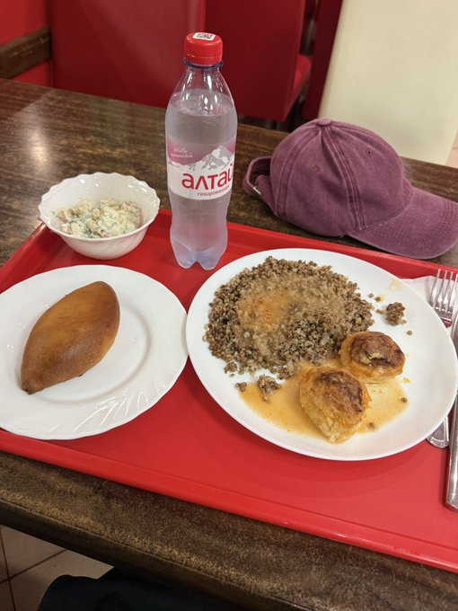 A meal on a red tray featuring a bottle of 'AlTai' water, a purple baseball cap, a plate with meat and buckwheat, an empanada-like pastry, and a bowl of salad.