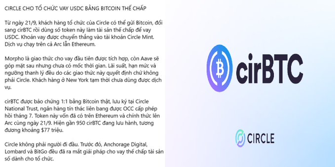 An image shows a graphic announcing Circle's institutional Bitcoin-backed lending initiative, featuring the "cirBTC" logo alongside the Circle logo, with Vietnamese text explaining that customers can now deposit Bitcoin to mint cirBTC as collateral for borrowing USDC, with Morpho managing lending/liquidation while Circle handles custody on Ethereum's Arc layer. The accompanying note notes how Circle wisely chose to focus on custody by wrapping Bitcoin into cirBTC, letting Morpho and DeFi protocols handle interest rates and liquidation risk—a strategy that allows Circle to expand its reach without taking on direct lending exposure.