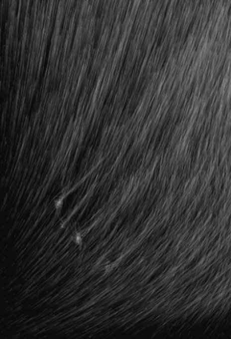 The image features a close-up of a black hair texture, with small white dots scattered throughout the scene. The background appears to be a light brown color, providing contrast to the dark hair. The image also contains text that reads "GM Entropy is interactive For listening and touching Just open the link on objkt.com/tokens/KT1QKXf". This suggests that there might be an interactive element in the image where viewers can listen to a podcast or watch a video related to GM Entropy, which is a concept in thermodynamics.